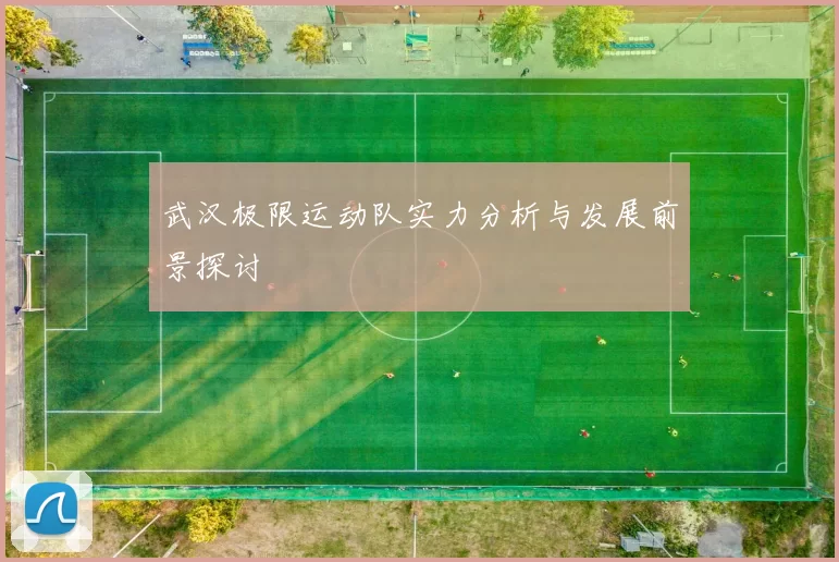 武汉极限运动队实力分析与发展前景探讨