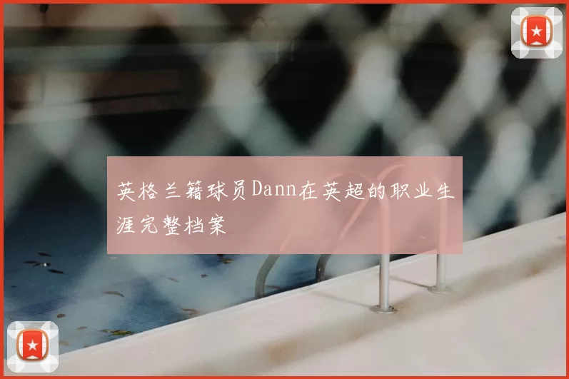 英格兰籍球员Dann在英超的职业生涯完整档案