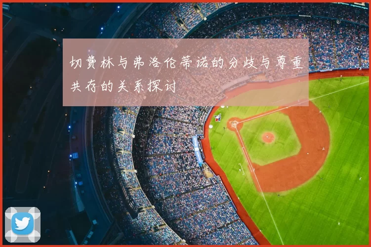 切费林与弗洛伦蒂诺的分歧与尊重共存的关系探讨