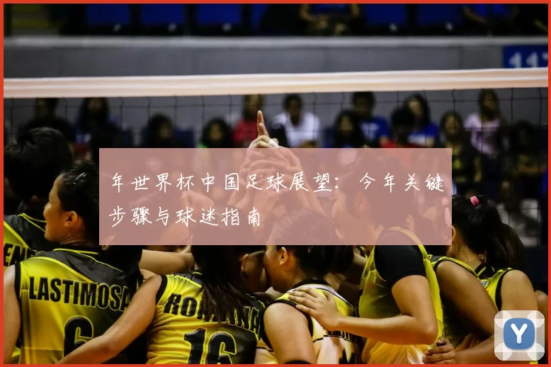 年世界杯中国足球展望:今年关键步骤与球迷指南