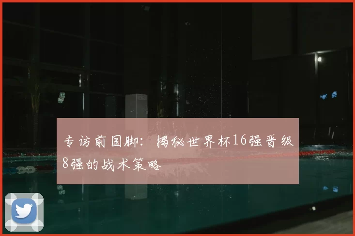 专访前国脚:揭秘世界杯16强晋级8强的战术策略