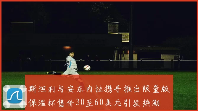 斯坦利与安东内拉携手推出限量版保温杯售价30至60美元引发热潮