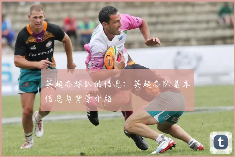 英超各球队的信息：英超各队基本信息与背景介绍