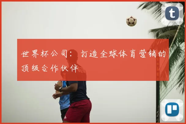 世界杯公司:打造全球体育营销的顶级合作伙伴