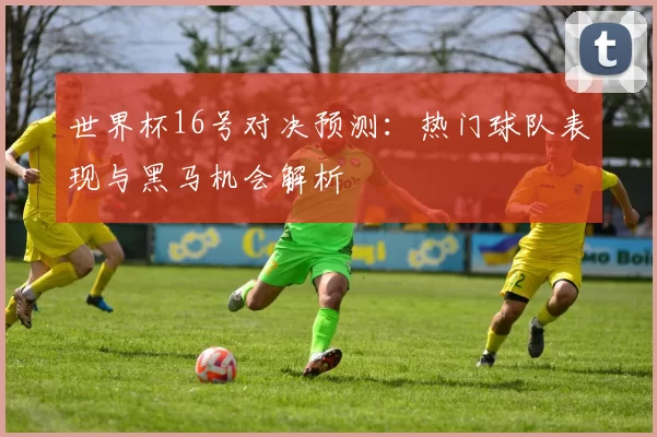 世界杯16号对决预测:热门球队表现与黑马机会解析