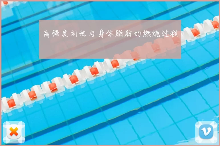 高强度训练与身体脂肪的燃烧过程