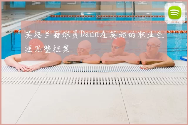 英格兰籍球员Dann在英超的职业生涯完整档案