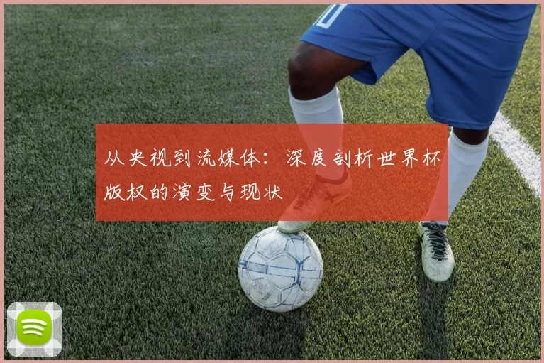 从央视到流媒体:深度剖析世界杯版权的演变与现状