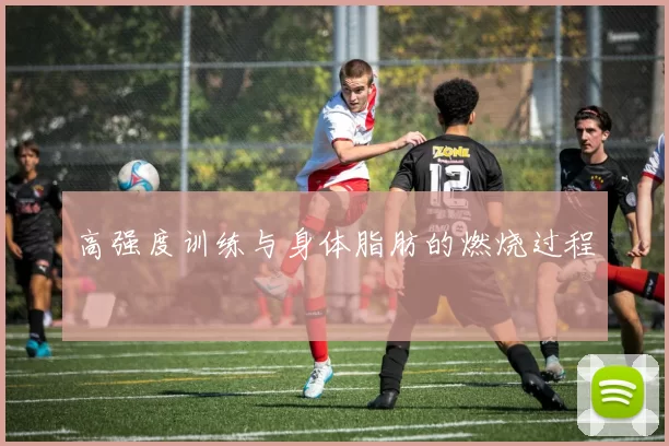 高强度训练与身体脂肪的燃烧过程