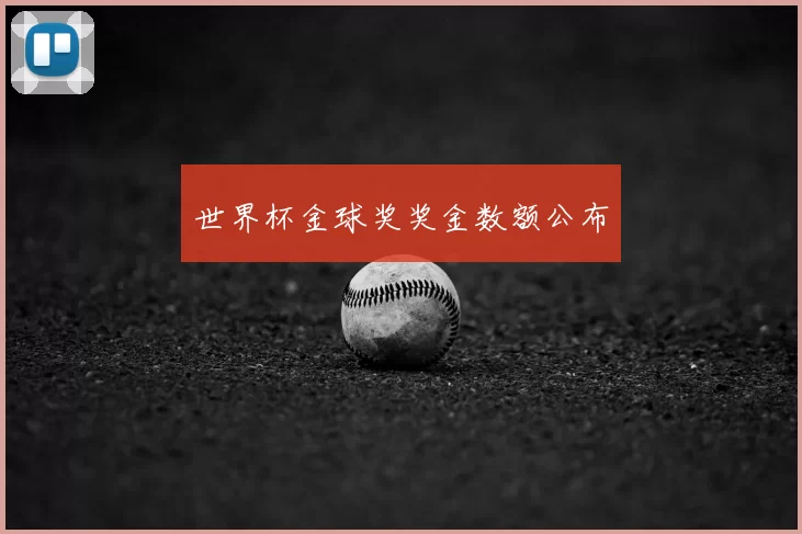 世界杯金球奖奖金数额公布