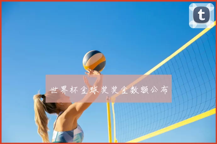 世界杯金球奖奖金数额公布