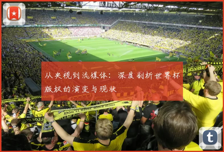 从央视到流媒体:深度剖析世界杯版权的演变与现状