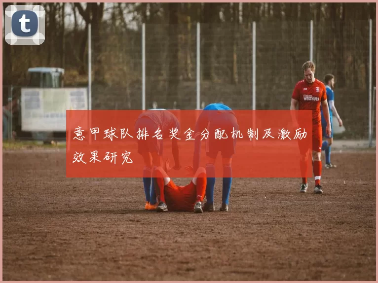 意甲球队排名奖金分配机制及激励效果研究