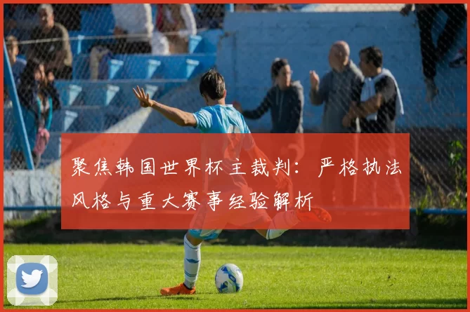 聚焦韩国世界杯主裁判:严格执法风格与重大赛事经验解析
