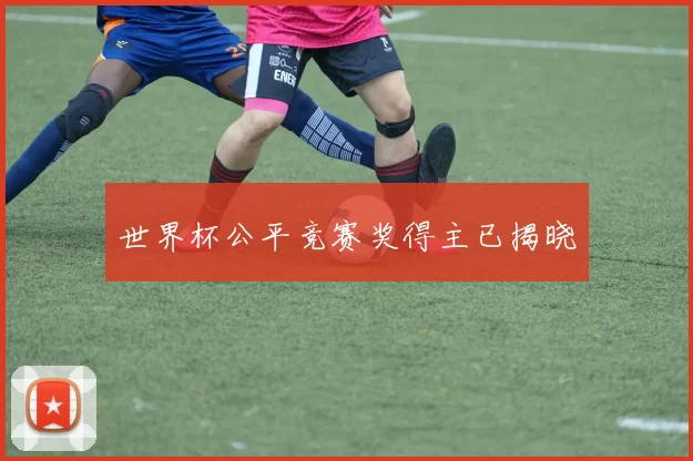 世界杯公平竞赛奖得主已揭晓