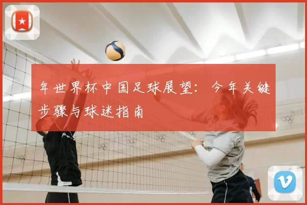 年世界杯中国足球展望:今年关键步骤与球迷指南
