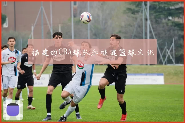 福建的CBA球队和福建篮球文化