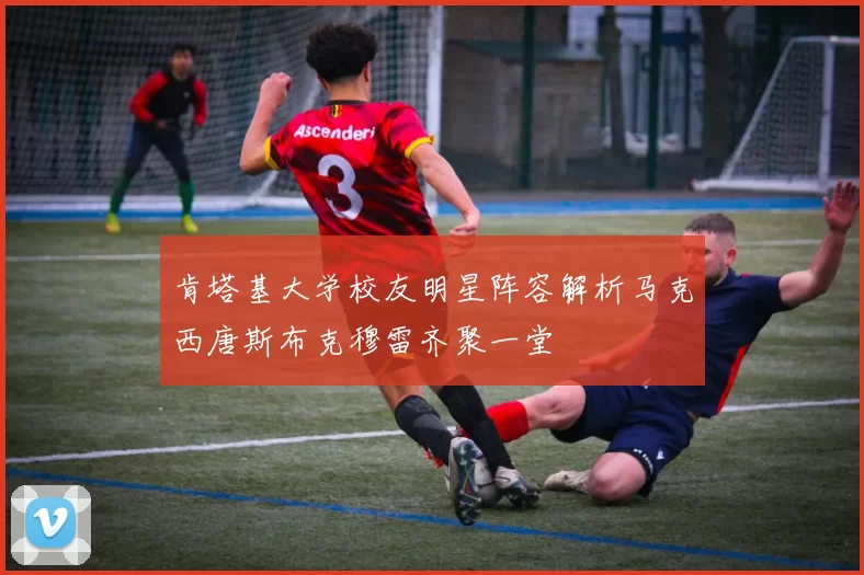 肯塔基大学校友明星阵容解析马克西唐斯布克穆雷齐聚一堂