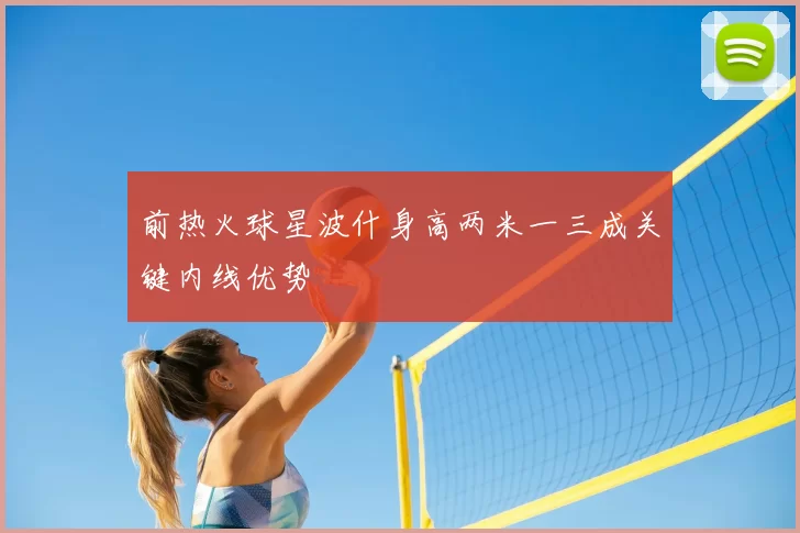 前热火球星波什身高两米一三成关键内线优势