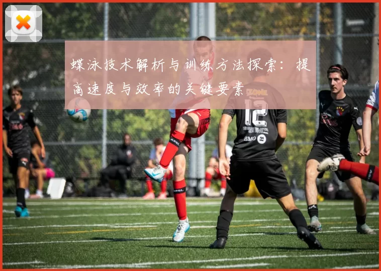 蝶泳技术解析与训练方法探索：提高速度与效率的关键要素