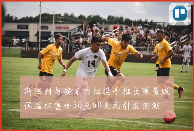 斯坦利与安东内拉携手推出限量版保温杯售价30至60美元引发热潮