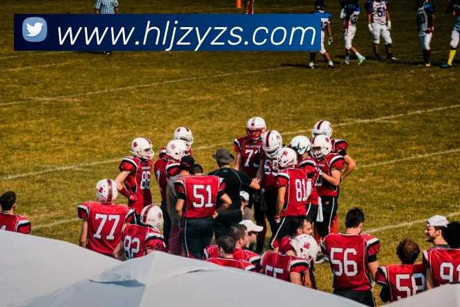 App Interface Preview